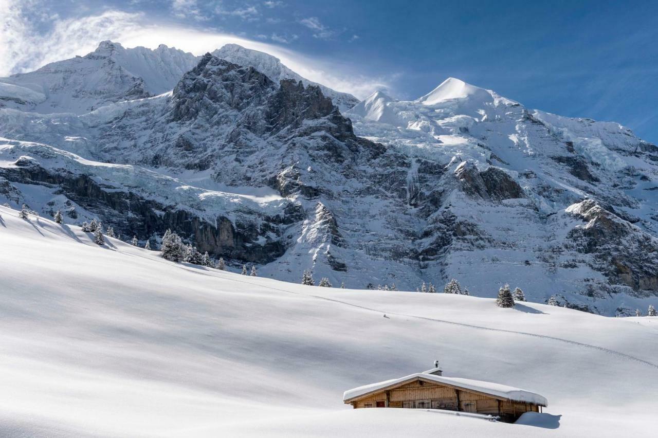 O 68 Haus Bel Air Wengen Exterior foto