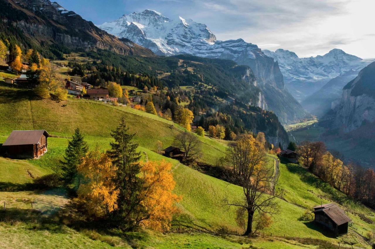 O 68 Haus Bel Air Wengen Exterior foto